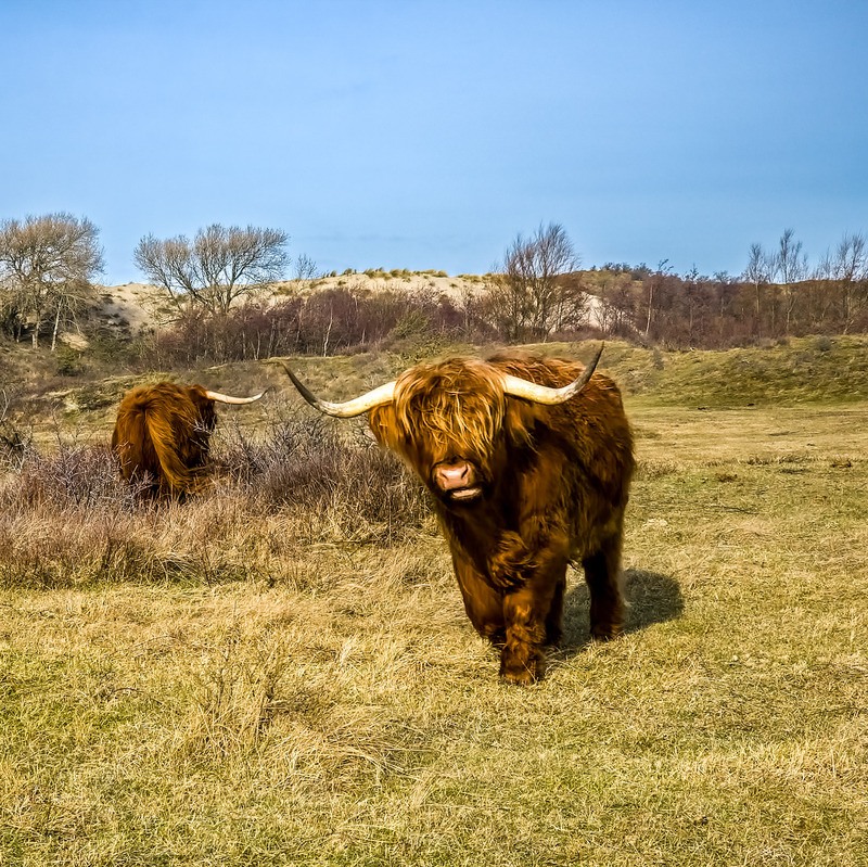 Perfecte ligging aan het strand