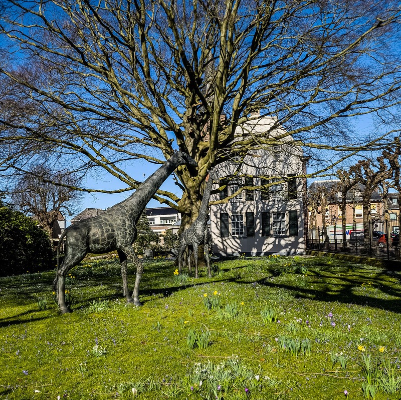 Verfrissende heisessie of teamdag