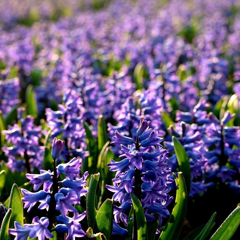 Boek een arrangement